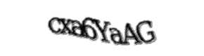 Security check image, please type the characters shown
